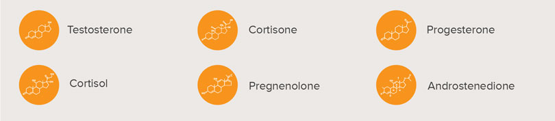 endocrinology
